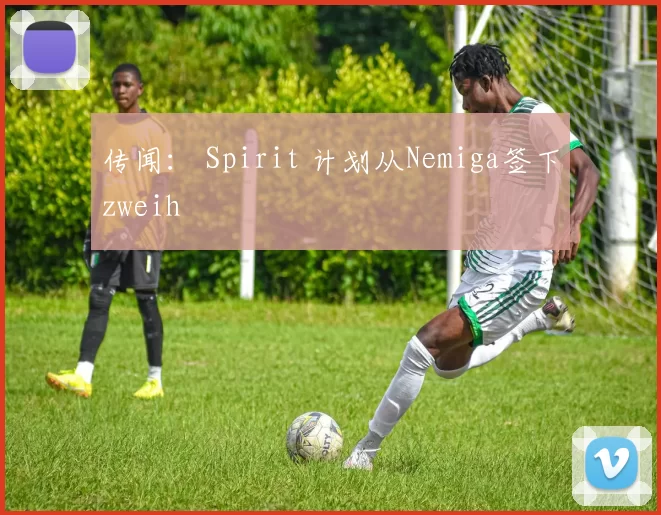 传闻： Spirit 计划从Nemiga签下zweih