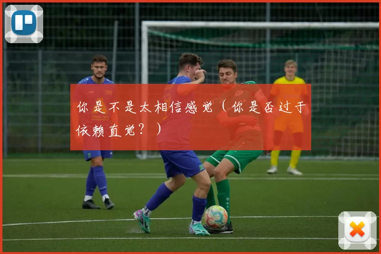 你是不是太相信感觉（你是否过于依赖直觉？）