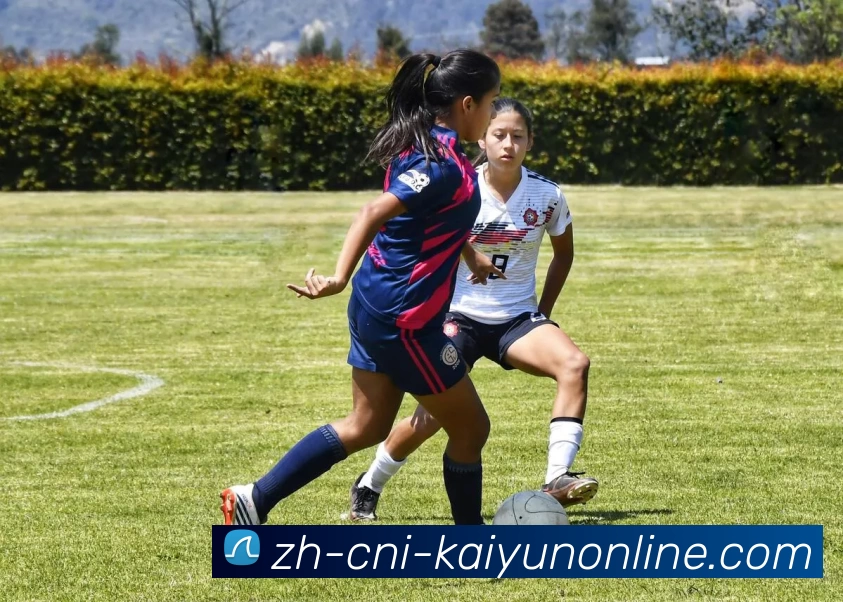 App Interface Preview