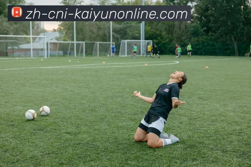 开云下载APP 封面图